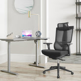 Excustive office chair with headrest and 2D armrest, chase back function with 7 gears adjustment, ti