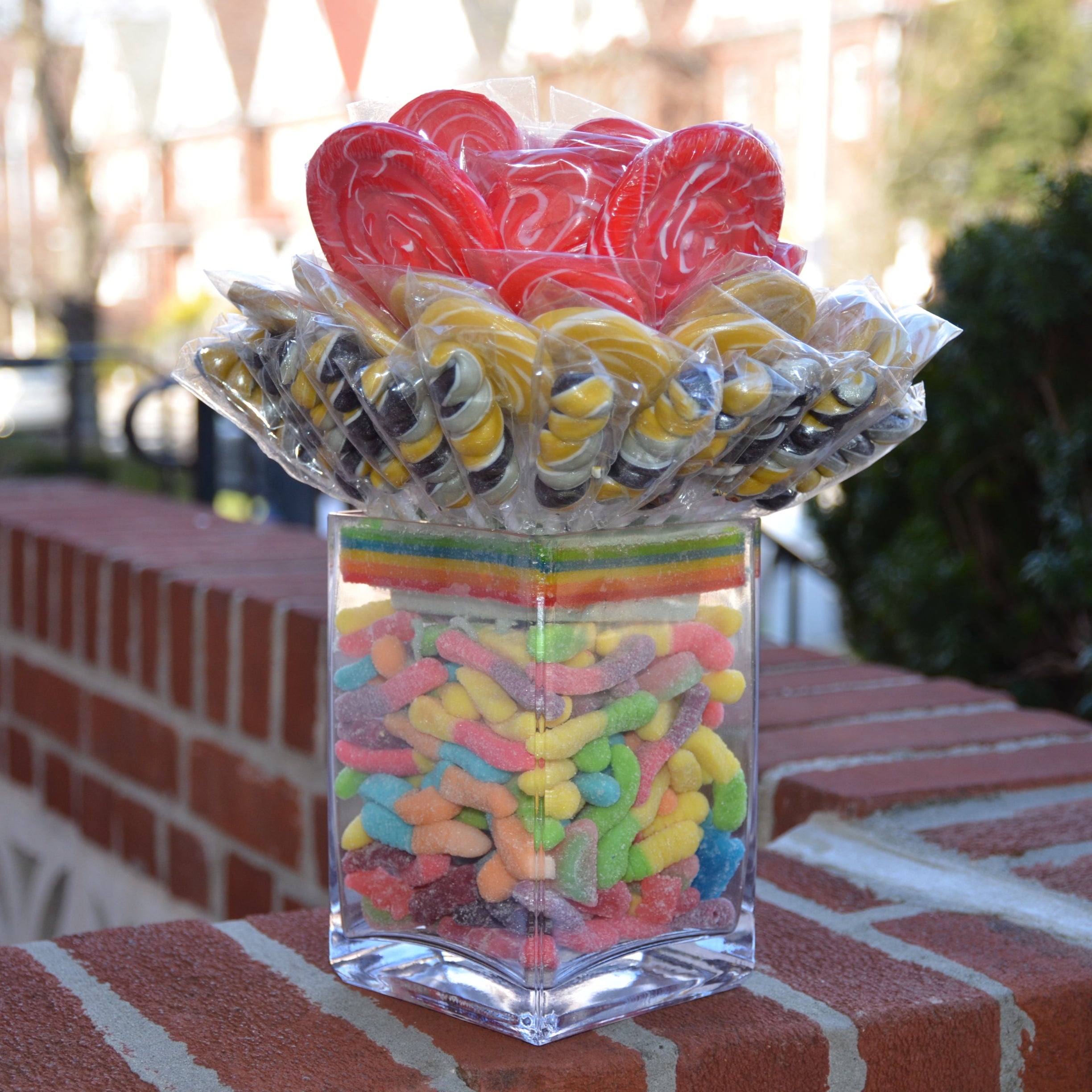 Gummy Baja