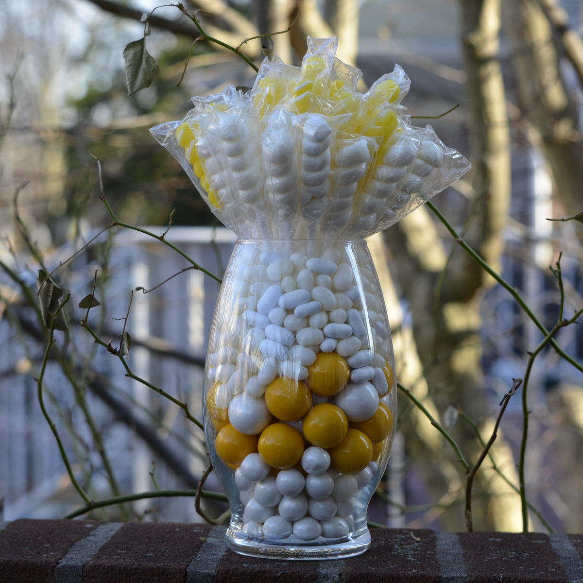 Lemon Frost Garden