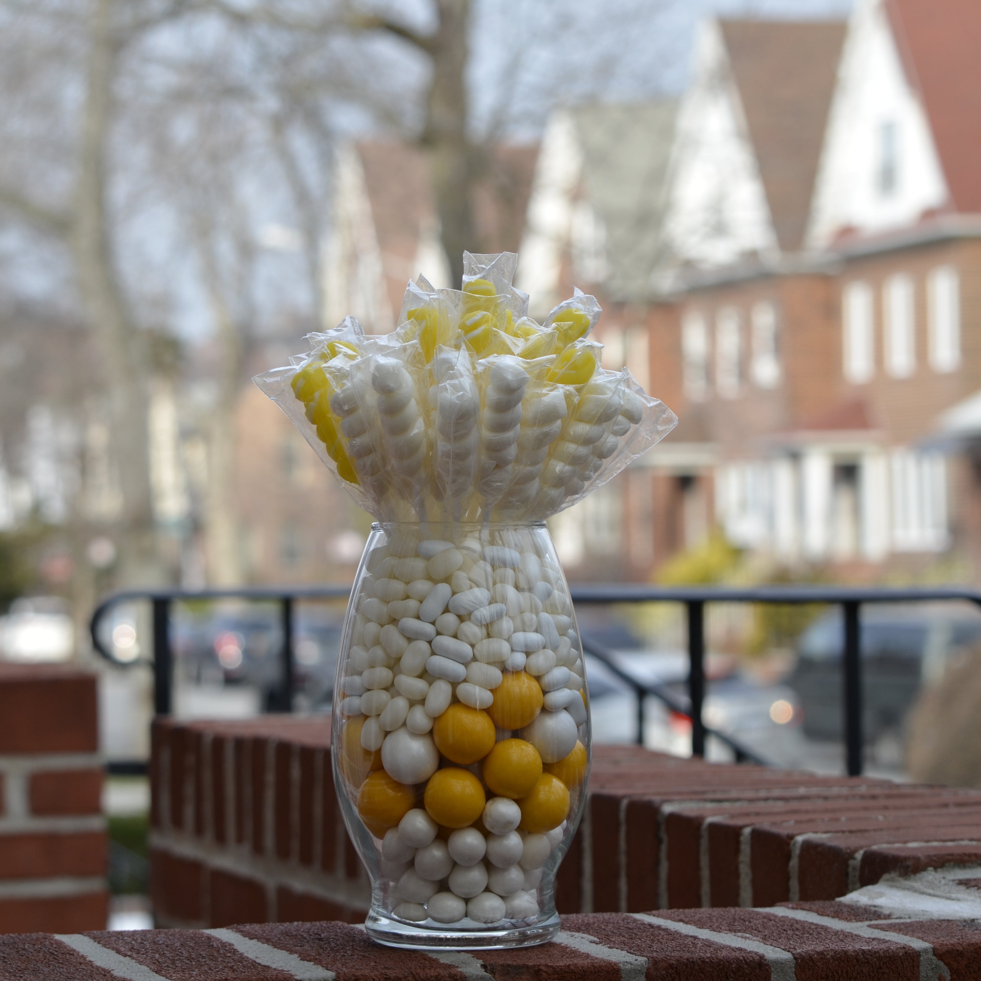 Lemon Frost Garden