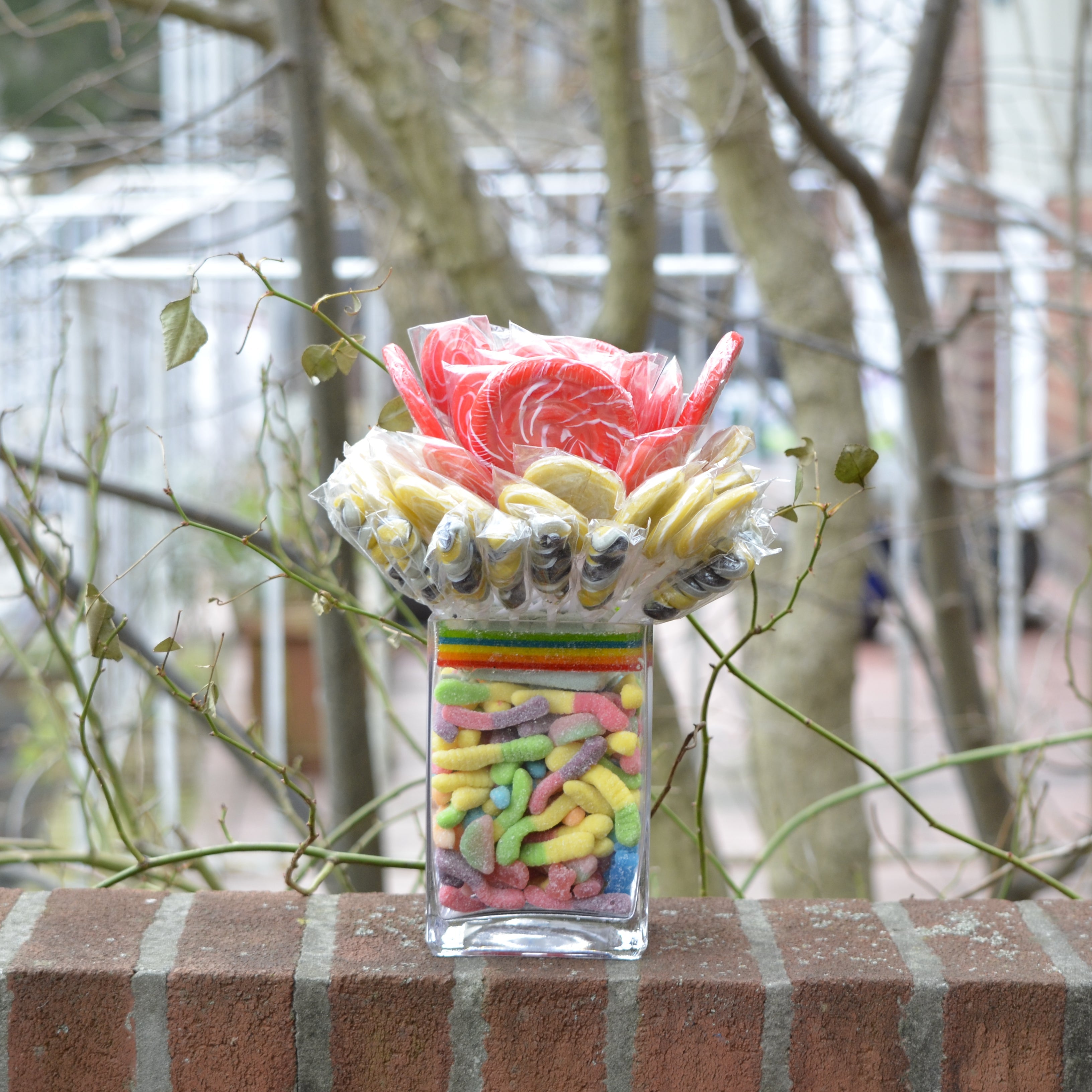 Gummy Baja
