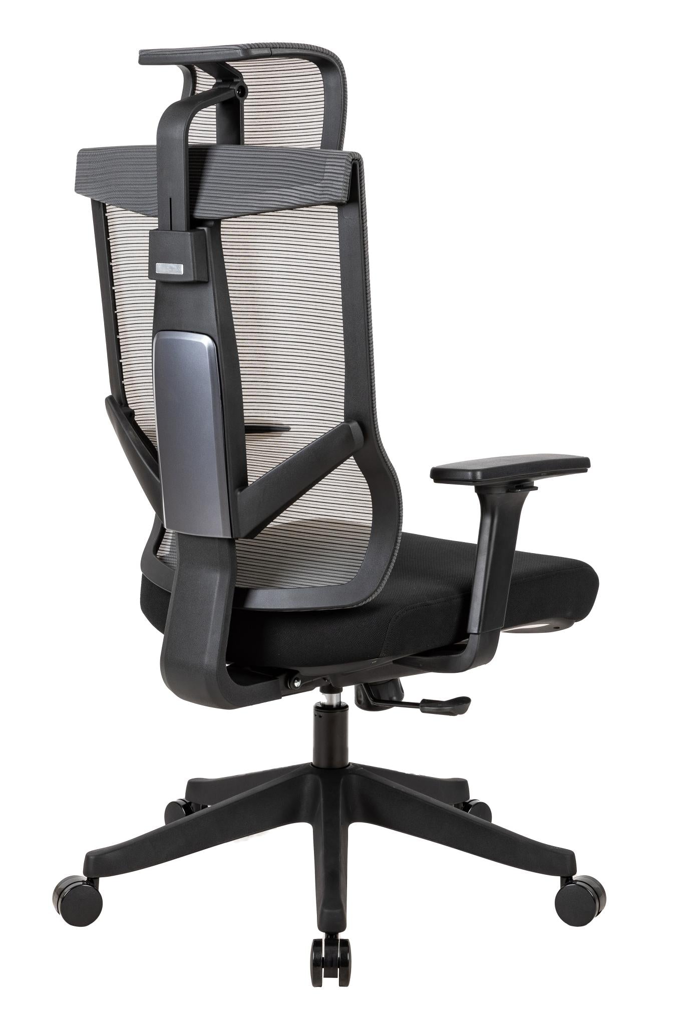 Excustive office chair with headrest and 2D armrest, chase back function with 7 gears adjustment, ti
